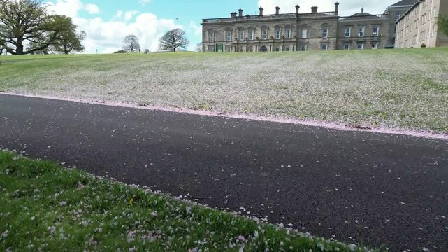 Aerial Drone View of Dromantine Estate County Down Northern Ireland Countryside