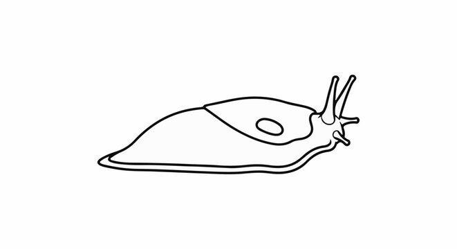 Line art illustration of a slug with antennae extended