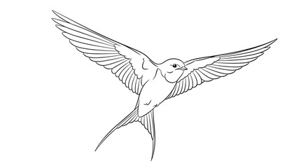 Obraz premium Elegant line art illustration of a swallow bird with wings spread wide flying through the air for nature themed designs.