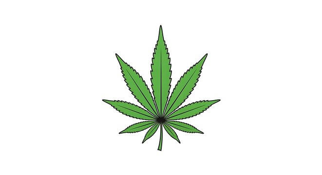 Cannabis Leaf Illustration - A Detailed Green Plant on White Background.