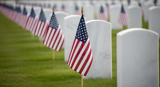 American flags at arlington national cemetery a solemn memorial day display