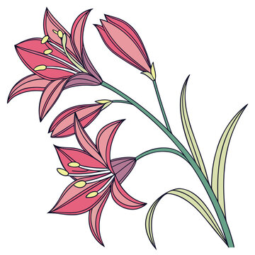 Brodiaea Flower Modern Vector Design