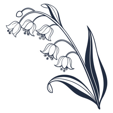 Nertera Minimal Floral Vector Clipart