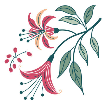 Nertera Flower Vector Botanical Illustration