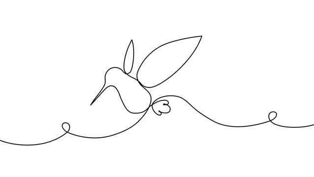 Continuous one line hummingbird bird humming colibri golden logo gold. Hummingbird bird colibri polygon drawing vector green flower wireframe wing abstract art flying background icon light logotype