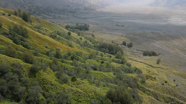 4K aerial view of lush green hillsides overlooking a vast volcanic sand sea valley in Bromo.