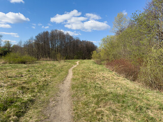 Obraz premium A winding dirt path through a Belarusian meadow and forest under a blue sky with white clouds, a peaceful natural landscape