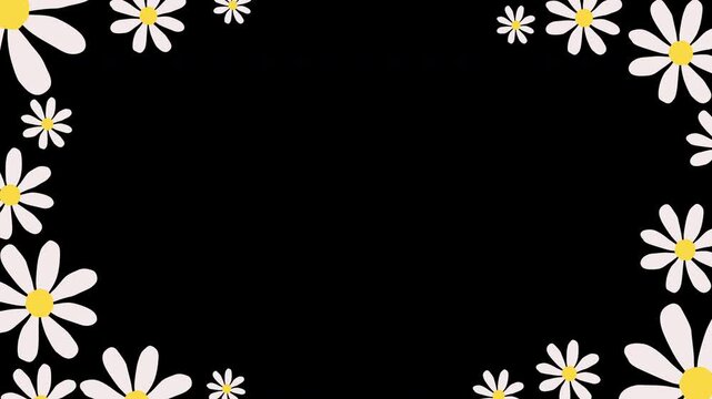White daisy animation on black background. Cute flower motion graphic template.