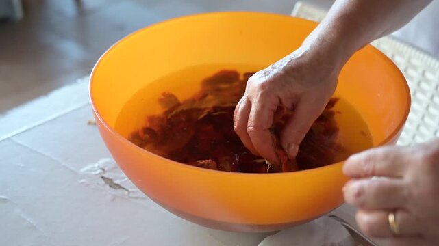 preparazione di pomodori secchi fatta in casa