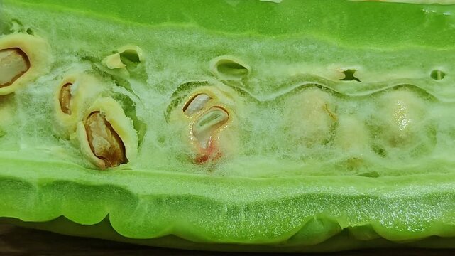 Organic Bitter melon or fresh Momordica charantia