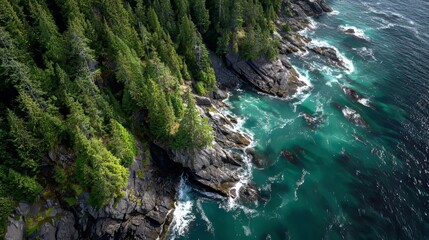 Obraz premium Aerial shot of rocky coastline with lush green forest meeting teal waters. Sunlight highlights waves & textures
