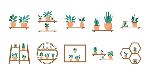 Fototapeta premium Set of Houseplants on Shelves