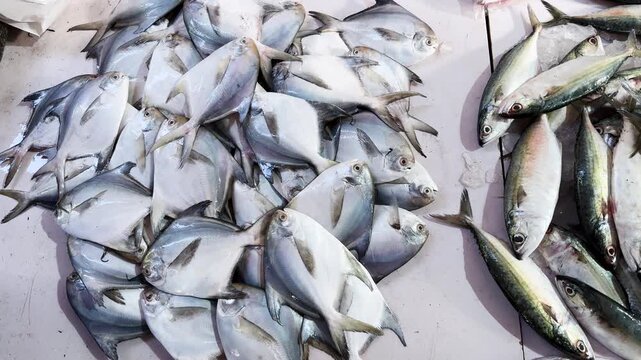 fresh fish catch displayed on market table with silver pomfret and mackerel variety