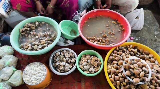 fresh clams and shellfish displayed in bowls at seafood market top view