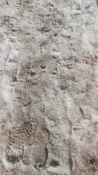 Footprints in snow-covered path show progression of movement through winter landscape, with varying depths and patterns visible in the snow texture and surface