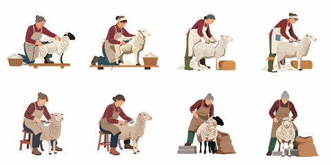 Set of diverse women shearing sheep using manual and electric tools, harvesting wool on a farm, flat vector illustration on white background. © Sugih