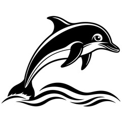 Fototapeta premium Black and white dolphin jumping out of water