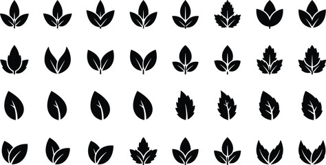 Fototapeta premium Set of professional black leaf icons and organic plant silhouettes for environmental branding natural product packaging and eco friendly graphic design projects