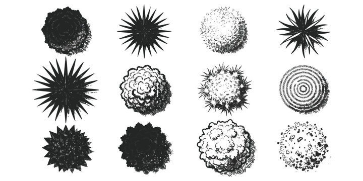 Set of black and white hand drawn tree top view icons for landscape design architectural site plan elements