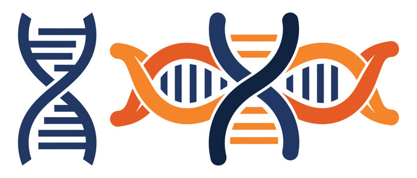 Dna double helix illustration blue and orange genetic structure silhouette