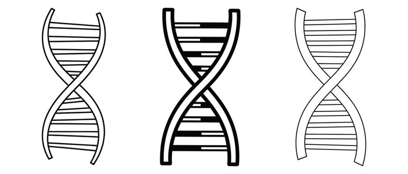 Dna structure illustration three views of the double helix silhouette