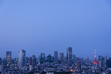 Obraz premium Tokyo skyline in evening , Wide Tokyo urban skyline during blue hour featuring Tokyo Tower and modern skyscrapers