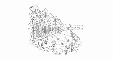 Fototapeta premium Sketch of a country road winding through a forest with plants
