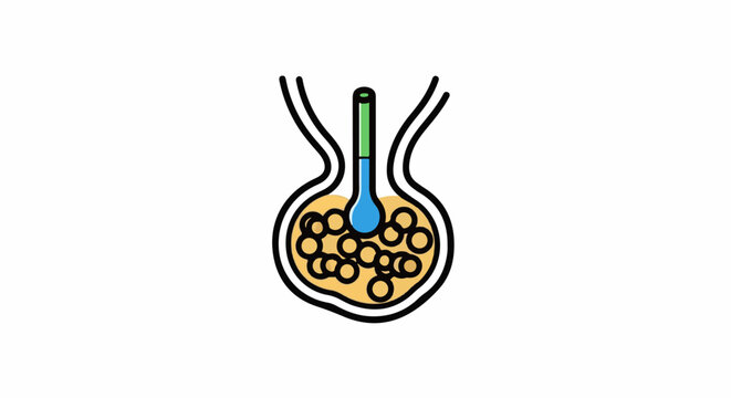 Simple cartoon representation of a biological cell with internal structures