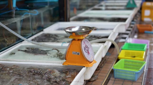 Traditional street fish market stalls in Thailand selling freshly caught seafood delicacies, vendors offering various raw fish, clams and lobsters for customers, containers filled with different fish.