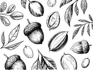 Hand-drawn black and white acorns, nuts, and leaves pattern white background leaf © Anjuman_42