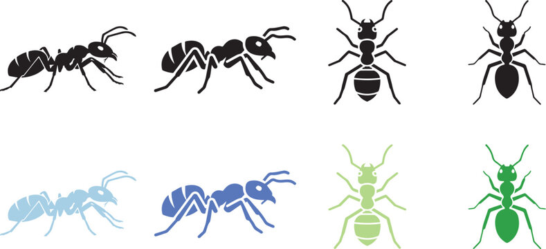 ant insect icon, solid black, white background, minimalist, sharp edges, vector style.