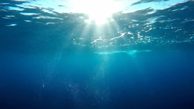 Stunning Underwater View with Bright Sunlight Rays Piercing Deep Blue Ocean Water Ideal for Nature Documentaries and Meditation Backgrounds.