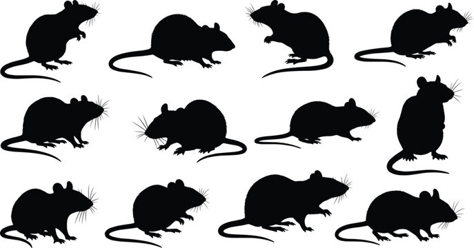Mouse Silhouette Illustration Set featuring Different Poses and Perspectives for Animal and Rodent Design Projects