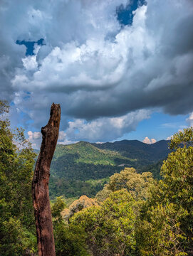Scenic view of tropical jungle mountains under a cloudy sky in Southeast Asia