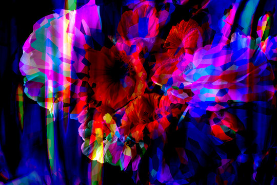 FLORAL MASH UP FUN VIBRANT  ILLUSTRATION 