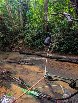 Adventurous trekker balancing on a fallen tree trunk to cross a jungle river