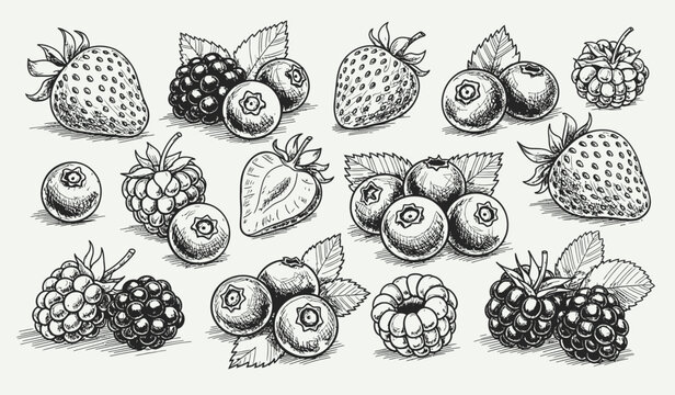 Berry Fruits Doodle Set with Hand Drawn Strawberry, Blueberry, and Raspberry Sketches