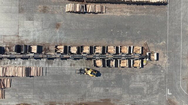 Logistics and supply chain of timber in a modern forestry industry facility.