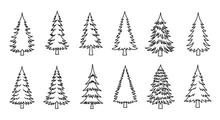 Obraz premium pine tree illustrations in black and white line art style