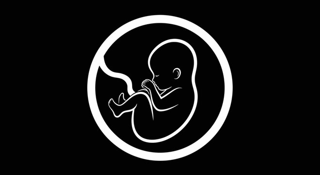 Minimalist white line drawing of a human fetus inside a circular womb shape on black background.
