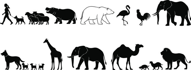 Wildlife and Animal Silhouette Illustration Set featuring Giraffe, Elephant, Lion, Hippo, Camel, and Other Creatures © Abdur