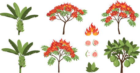 Tropical Trees and Flame Tree Icon Set with Banana Plants, Red Blossoms, Fire Elements, Fruits, and Nature Vector Collection © MdSobuj