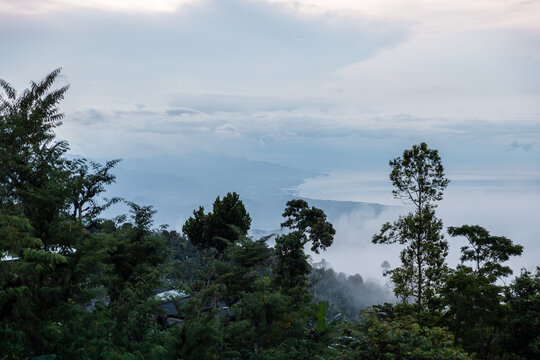 Misty mountain forest overlooking coastline and sea under dramatic cloudy sky at sunrise or sunset