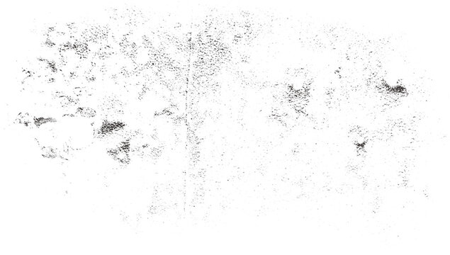 Grunge slate grey and ash minimalist texture with fine-grained noise and industrial wear. Clean gritty overlay for a modern transparent image.