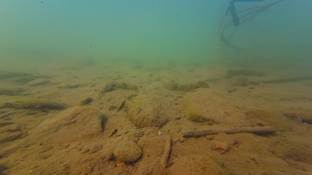 murky water stream biotope, driftwood twig immersed underwater, sunny streambed in flood aquascape, organic silt alluvium sediment, green algae bloom, shallow Uzh river in Uzhhorod documentary footage