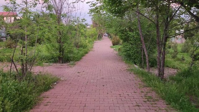Peaceful Brick Pathway Surrounded by Lush Greenery