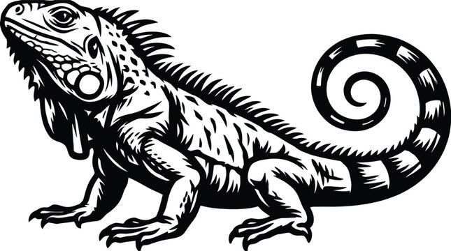 Detailed black and white illustration of a green iguana in a natural pose