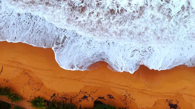 Aerial White Surf Reaching Orange Panama Sand. Overhead drone view of white surf crossing orange beach with palm forest edge in Panama.