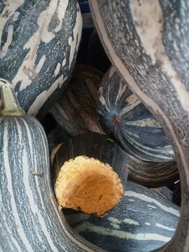 Castilian Pumpkin or Auyama Product Image