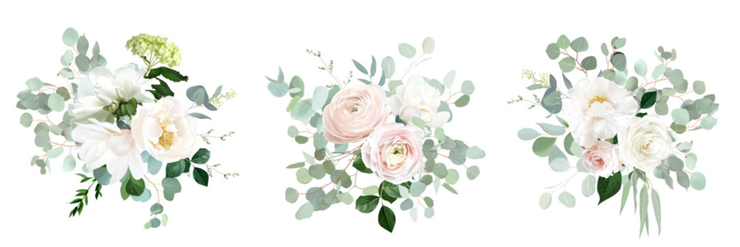 Classic pink rose, white peony, blush pink ranunculus, eucalyptus, green hydrangea, sage greenery vector design wedding spring bouquets. Floral summer watercolor. Elements are isolated and editable